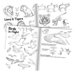 eeboo - learn to draw animals - page example